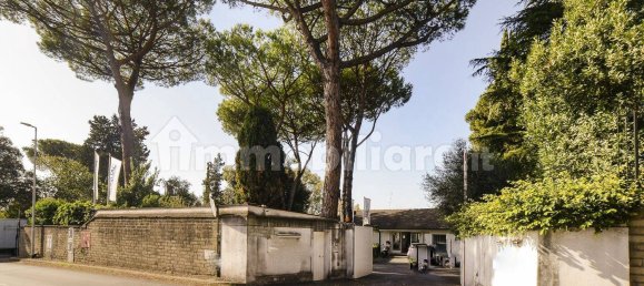 5 rooms Office in Rome, Italy No. 336791 6