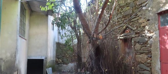 3 bedrooms House in Salgueiro do Campo, Portugal No. 169564 30