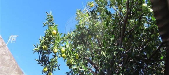 3 bedrooms House in Salgueiro do Campo, Portugal No. 169564 26