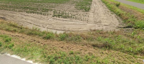 31790m² Land in Calendasco, Italy No. 211812 4