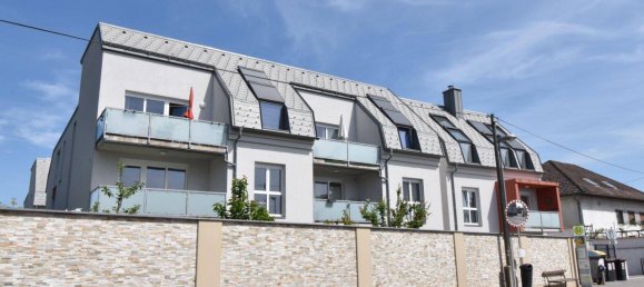 2-Zimmer Wohnung in Krems an der Donau, Austria, Nr. 182437 6