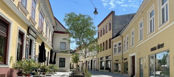 4-salle Appartement à Hietzing, Austria No. 142962 11