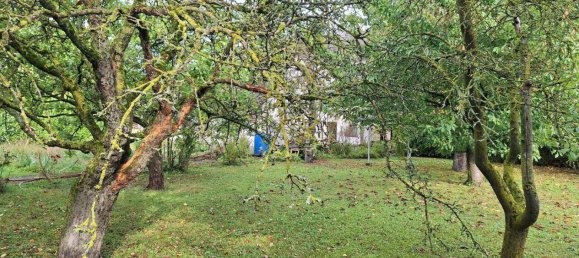 6 rooms House in Prinzersdorf, Austria No. 252788 8