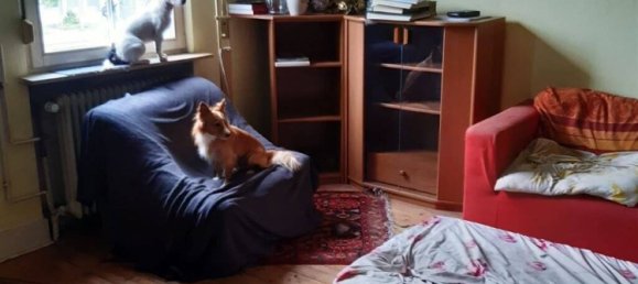 Moradia em banda de 5 divisões em Offenbach, Germany N.º 45818 4