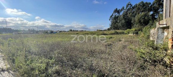 7526m² Land in Avanca, Portugal No. 24149 9