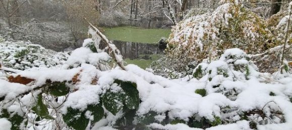 4 غرف نوم منزل في Maraye-en-Othe, France رقم 159699 14