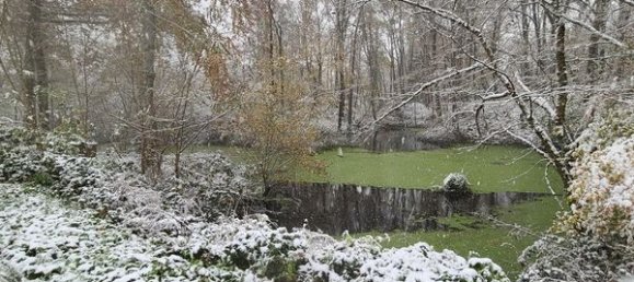 4 غرف نوم منزل في Maraye-en-Othe, France رقم 159699 18