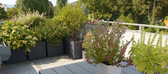 Duplex de 3 divisões em Vienna, Austria N.º 237600 2