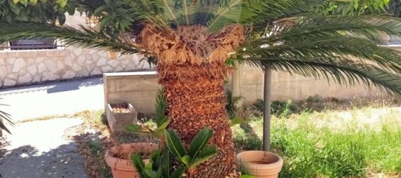 5-salle Maison à Lanciano, Italy No. 262288 4