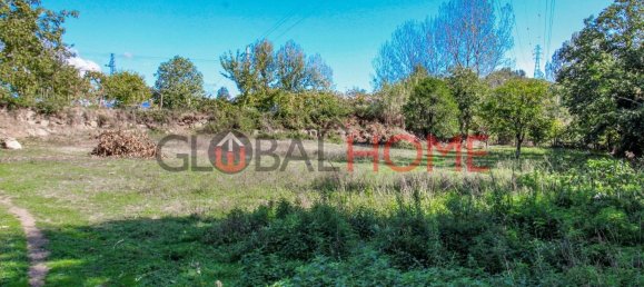 5 Schlafzimmer Haus in Sao Cristovao de Nogueira, Portugal, Nr. 44898 24