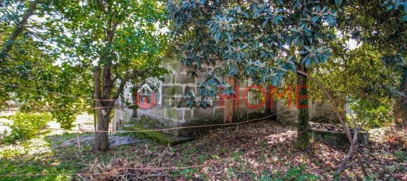 5 Schlafzimmer Haus in Sao Cristovao de Nogueira, Portugal, Nr. 44898 6