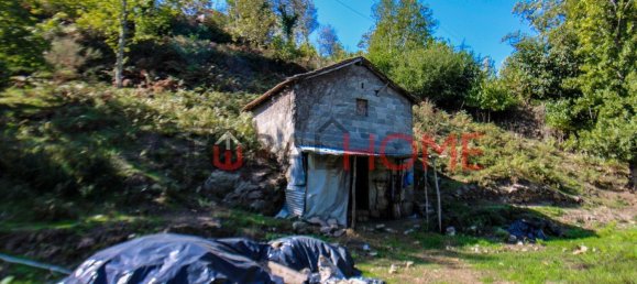 5 Schlafzimmer Haus in Sao Cristovao de Nogueira, Portugal, Nr. 44898 21