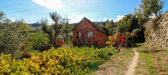 5 Schlafzimmer Haus in Sao Cristovao de Nogueira, Portugal, Nr. 44898 5