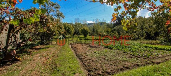 5 Schlafzimmer Haus in Sao Cristovao de Nogueira, Portugal, Nr. 44898 7