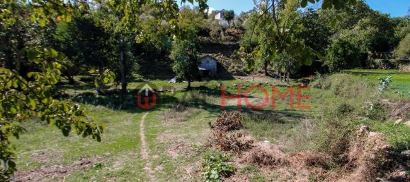 5 Schlafzimmer Haus in Sao Cristovao de Nogueira, Portugal, Nr. 44898 13