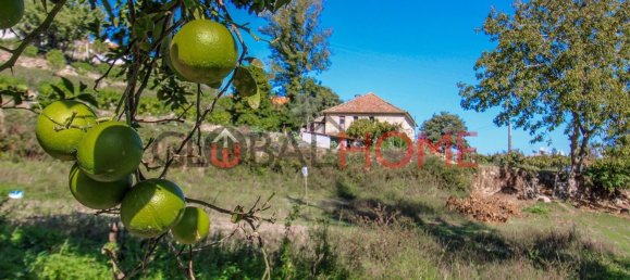 5 Schlafzimmer Haus in Sao Cristovao de Nogueira, Portugal, Nr. 44898 23