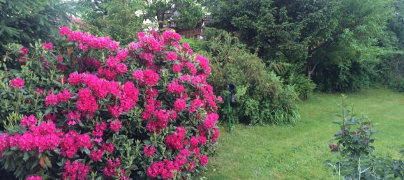 5 bedrooms House in Freyung-Grafenau, Germany No. 236323 7