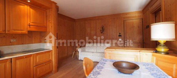 1 bedroom Apartment in Selva di Cadore, Italy No. 351163 2