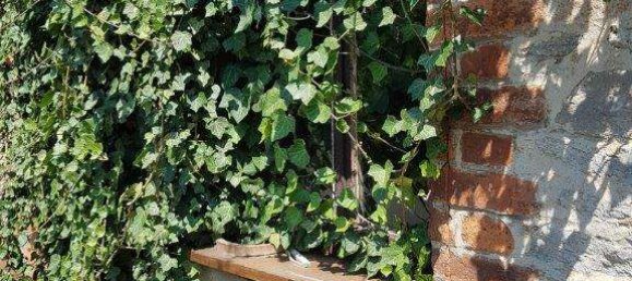 Casa de 2 divisões em Hoxter, Germany N.º 69495 3