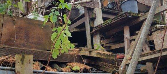 Casa de 2 divisões em Hoxter, Germany N.º 69495 20