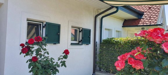 4 rooms House in Neudorfl, Austria No. 168525 13