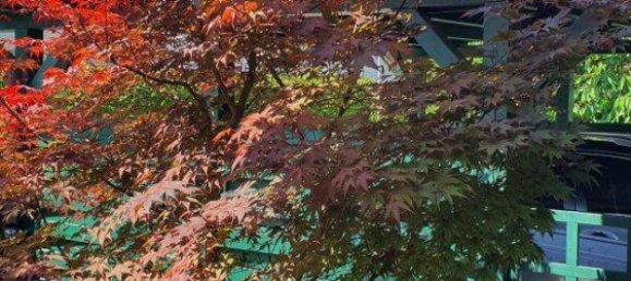 4 rooms House in Neudorfl, Austria No. 168525 14