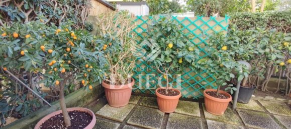 7-salle Maison à Viareggio, Italy No. 149864 28