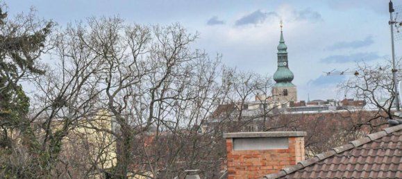 Квартира с 3 комнатами в Баден, Австрия № 159019 5