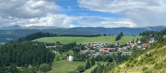 4 bedrooms Townhouse in Huttenberg, Austria No. 212120 5