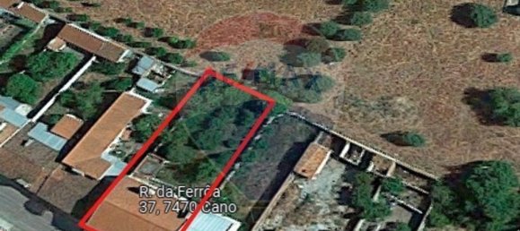 4 غرف نوم منزل في Cano, Portugal رقم 18288 15