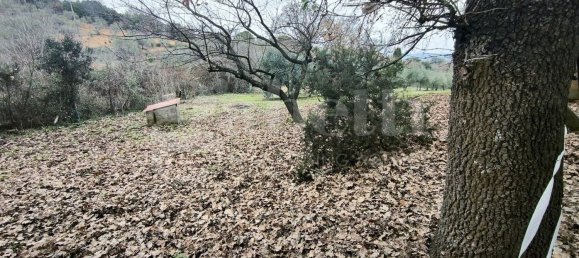 قطعة أرض في Scarlino, Italy 17000متر مربع رقم 210633 31