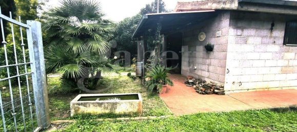 قطعة أرض في Scarlino, Italy 17000متر مربع رقم 210633 16