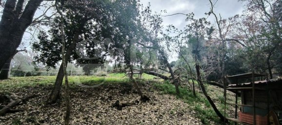 قطعة أرض في Scarlino, Italy 17000متر مربع رقم 210633 30