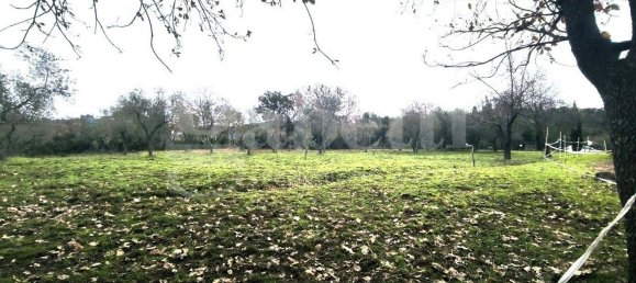 قطعة أرض في Scarlino, Italy 17000متر مربع رقم 210633 28