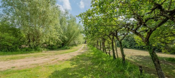 8 bedrooms House in Azay-le-Rideau, France No. 79134 23