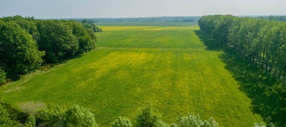 8 bedrooms House in Azay-le-Rideau, France No. 79134 22