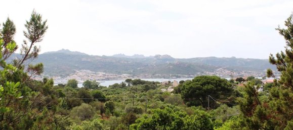 3 غرف نوم فيلا في Arzachena, Italy رقم 317133 8