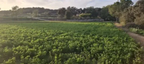 Casa de 3 dormitorios en Lérida, Spain No. 187340 15