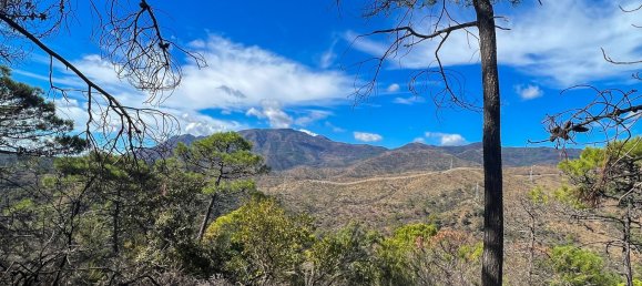  Land in Estepona, Spain No. 153696 24