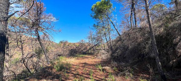  Land in Estepona, Spain No. 153696 23