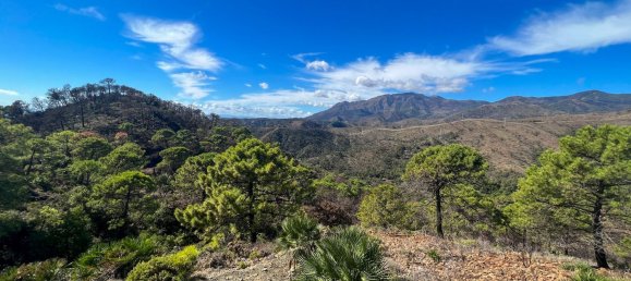  Land in Estepona, Spain No. 153696 19