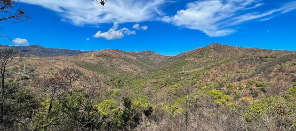  Land in Estepona, Spain No. 153696 25