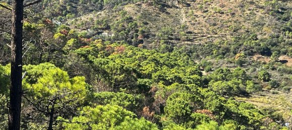  Land in Estepona, Spain No. 153696 21