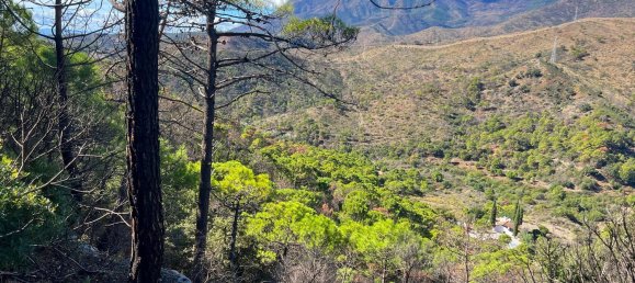  Land in Estepona, Spain No. 153696 20