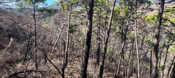  Land in Estepona, Spain No. 153696 22