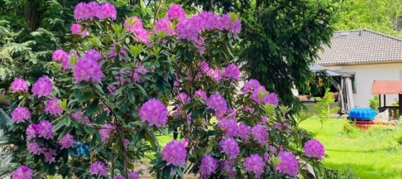 4 chambres Maison à Potsdam-Mittelmark, Germany No. 288943 4