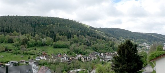 1 غرف نوم شقة في Baden-Wurttemberg, Germany رقم 24798 6