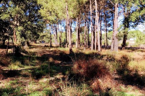  قطعة أرض في Palmela, Portugal 33198متر مربع رقم 289215