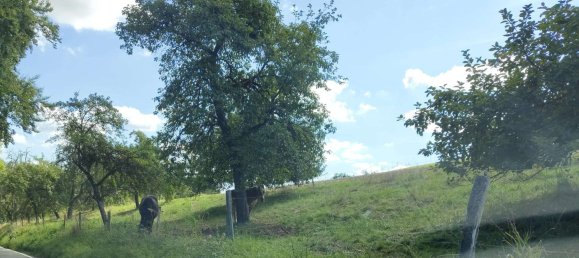 Adosado de 2 dormitorios en Heilbronn, Germany No. 367521 4