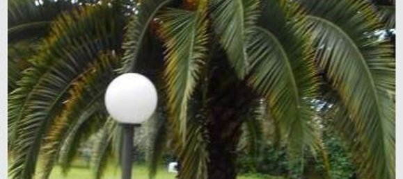 300m² Building in Carrara, Italy No. 51774 2